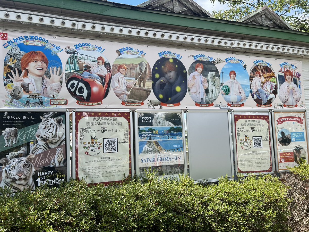 emem1216's tweet photo. とぶこー！
台風予報からの晴れー！！！
園内もプールも激空き！
#東武動物公園
#超特急
#タカシ https://t.co/tSEyhQxqFu