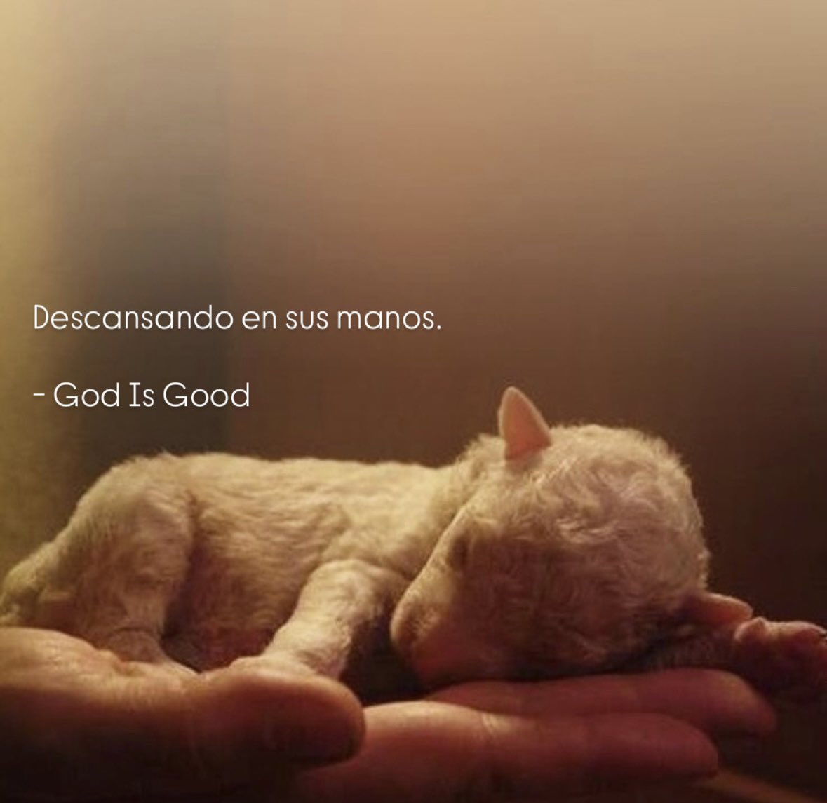 godisgoodpostt's tweet photo. 🧡 https://t.co/OUqa6aHNOP