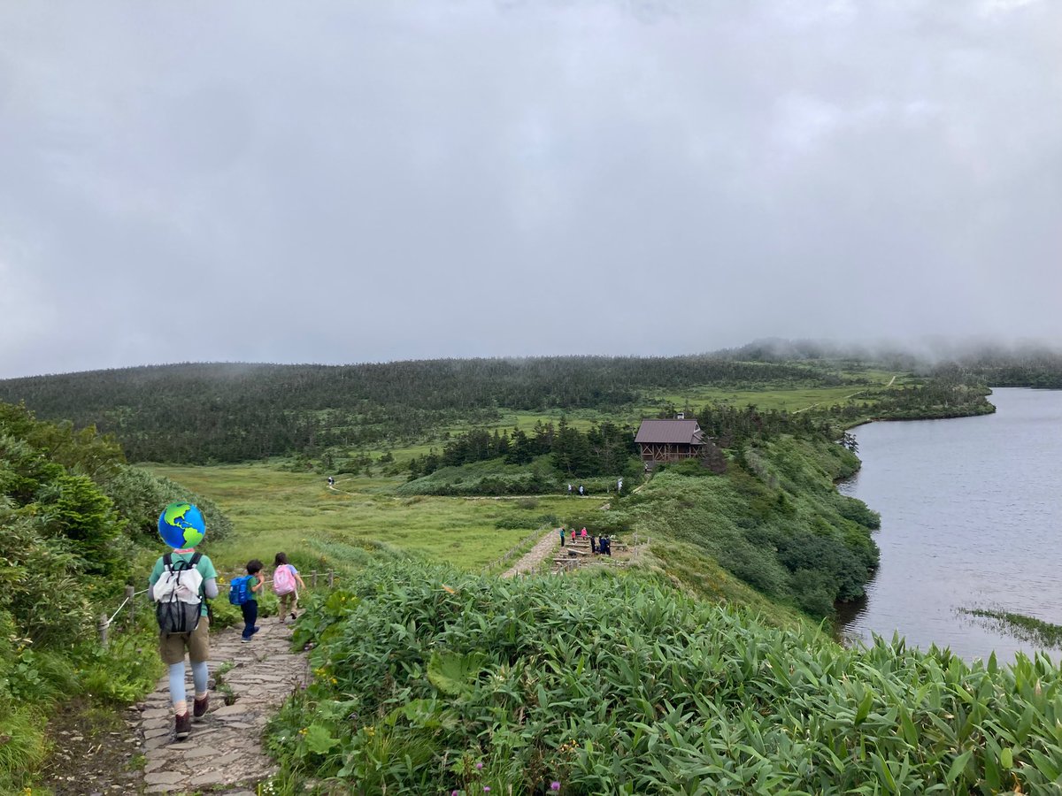 satoru_kt's tweet photo. 八幡平の沼ハイクしてきた！
涼しぅございました。

小熊などになりきり木道をあるく子供たち(迷惑)
#さとる家の育児記録1 https://t.co/iMXlZ6KXav