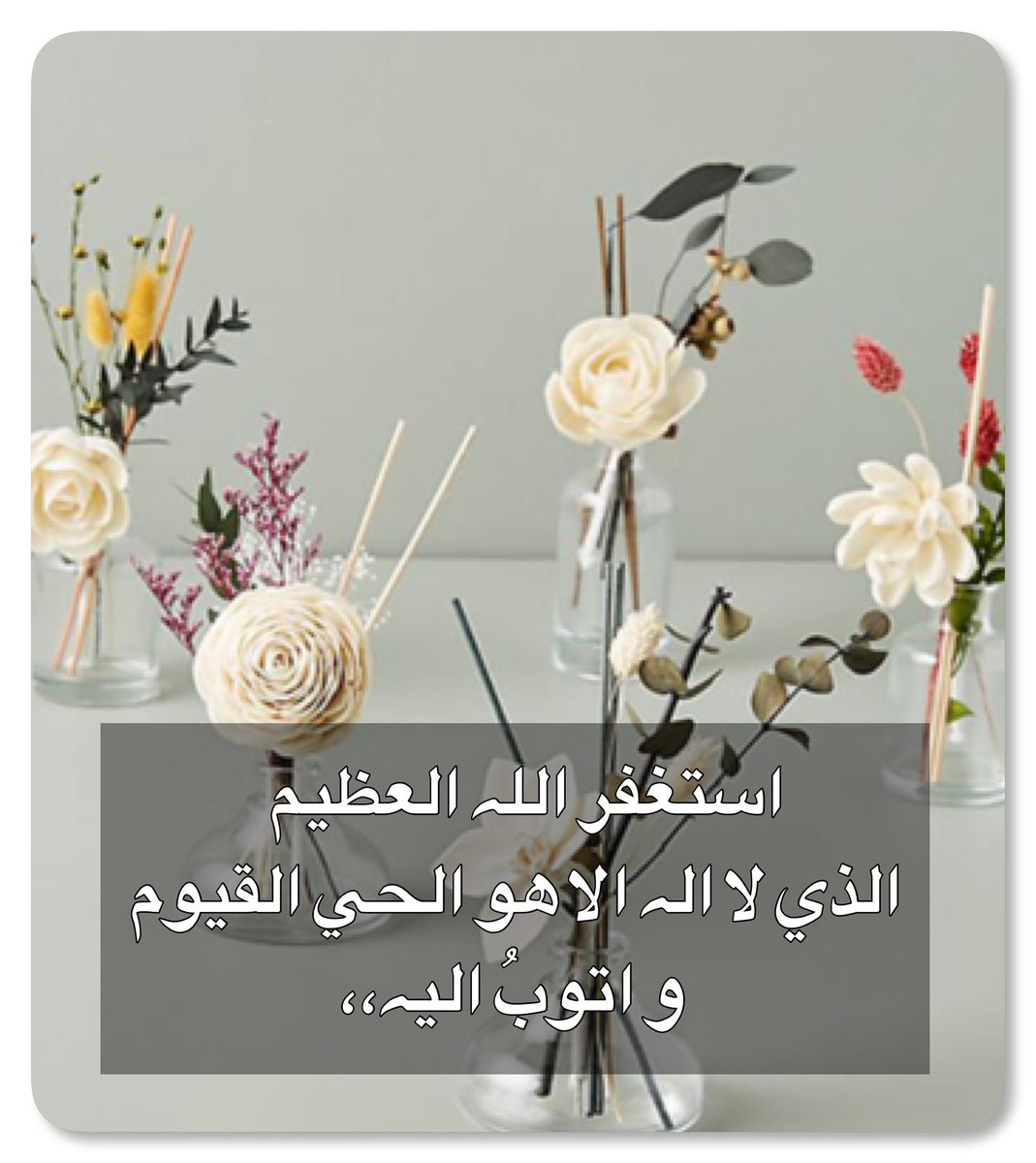 smjlala's tweet photo. #دعاء

اللَّهم يامقلب القلوب ثبِّت قلوبنا 
على دينك و طاعتك ،،🤍🌿

اللَّهم استرنا فوق الأرض و يوم العرض،،🤍🌿 https://t.co/MEct0Zybnp