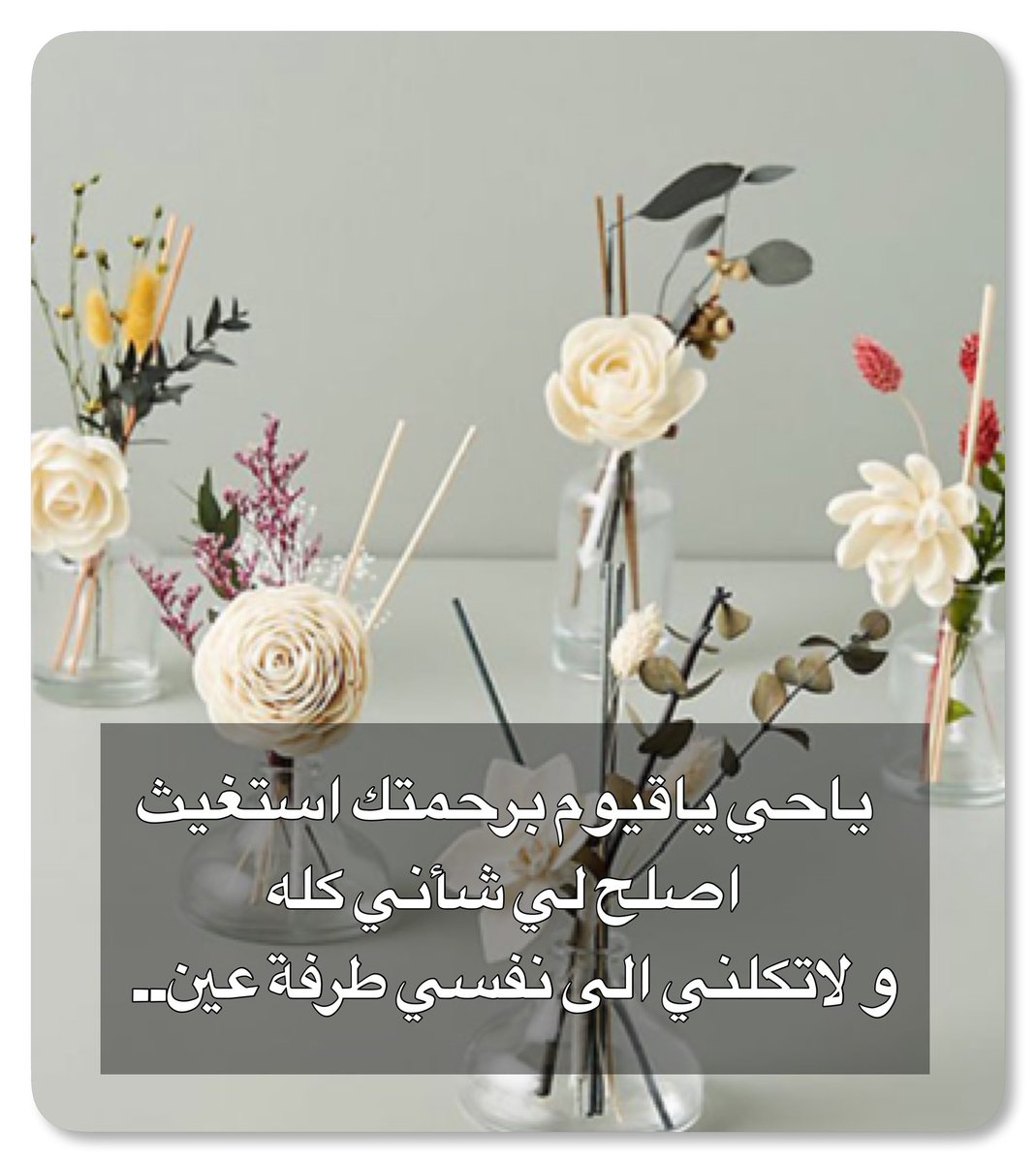 smjlala's tweet photo. #دعاء

اللَّهم يامقلب القلوب ثبِّت قلوبنا 
على دينك و طاعتك ،،🤍🌿

اللَّهم استرنا فوق الأرض و يوم العرض،،🤍🌿 https://t.co/MEct0Zybnp