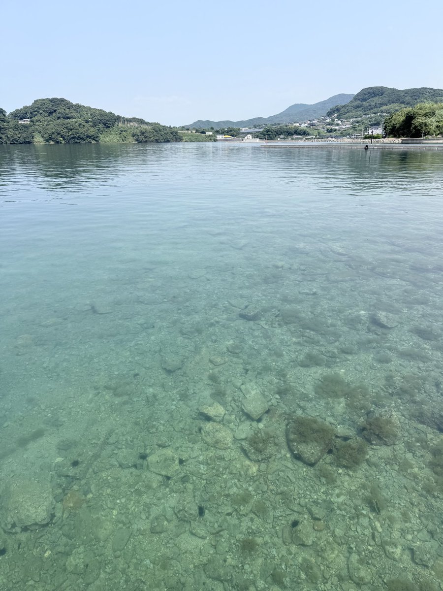 michiko_rin's tweet photo. 大崎半島の対岸に伸びた緑豊かな半島・片島。

戦争中、ここでは海軍工厰でつくられた魚雷の試験が行われていました。
※現在、片島魚雷発射試験場跡は一部立ち入り禁止です。

ここで合格した魚雷は、佐世保鎮守府に送られました。

#佐世保　#海軍 https://t.co/msdIkIqccN