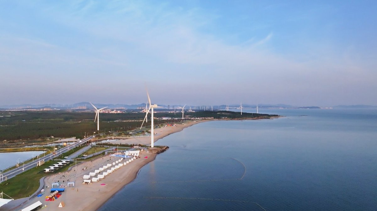 SDHSCSI's tweet photo. Recently, Shandong Hi-Speed Group’s subsidiary Eco-Environment Group completed its first marine ecological restoration project—the seagrass bed restoration of the Weihai marine ecological protection project. 
With a 70% survival rate and 75% coverage, the project delivered impressive results, marking the group’s successful expansion from land to sea and a breakthrough in marine ecological restoration.
(Source: Shandong Hi-Speed Group)