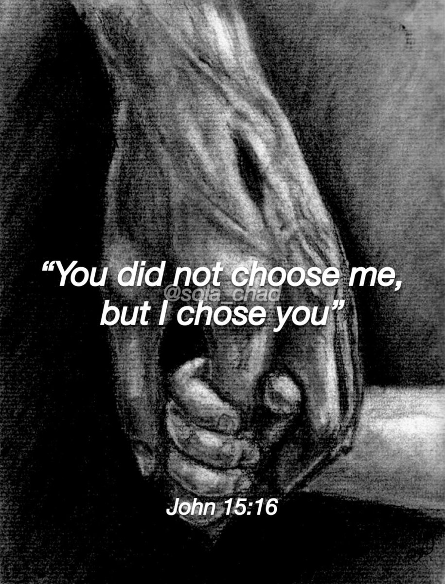 sola_chad's tweet photo. https://t.co/JuNg5sa3nK
