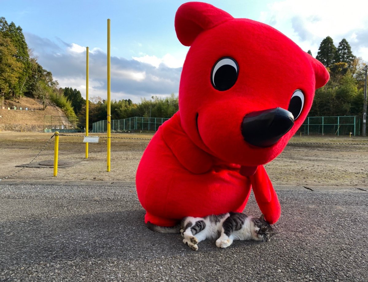 chi_bakun_chiba's tweet photo. お散歩してたら猫ちゃんに会ったよ。どこから来たの？お名前は？ https://t.co/8YdSNlk8qi