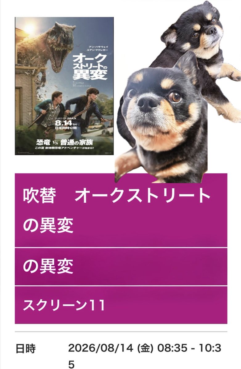 psych_Enjoy's tweet photo. 観た‼️
かなり
面白かった。
アンハサウェイ綺麗✨ https://t.co/AYjQG6oYjX