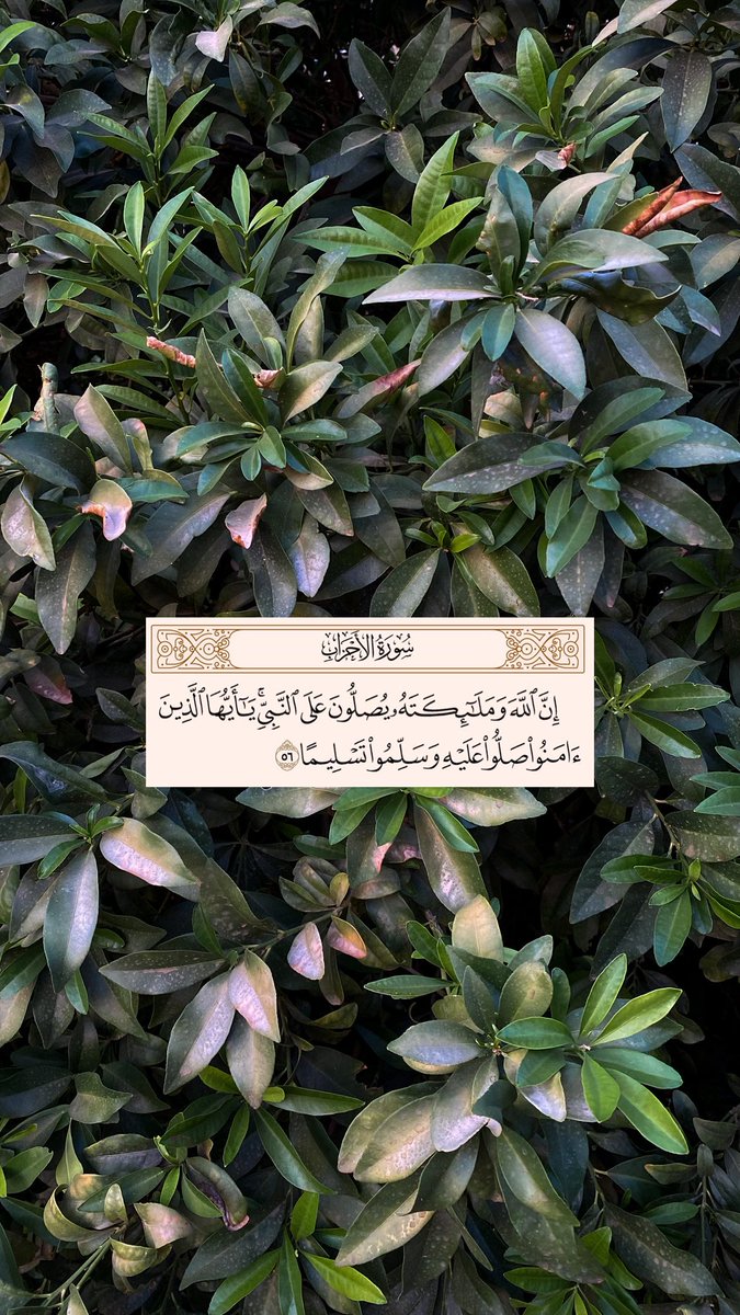 Iil_2aw's tweet photo. #يوم_الجمعه https://t.co/n6XOme768G