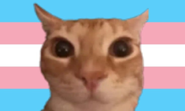 arielfhitz's tweet photo. 🏳️‍⚧️ transmasculinidade em obras de ficção brasileira: uma thread em constante atualização

faz parte da minha pesquisa acadêmica então eu tô aproveitando e trazendo pra cá também

palavras chave: transmasc, homem trans, livro https://t.co/R2KYoCfPp1