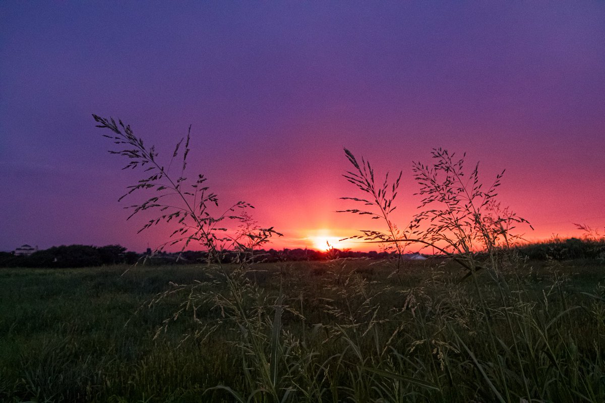 MarkDowney14's tweet photo. Approaching storm, moisture, refracts violet wavelengths https://t.co/yUUguYiJNY