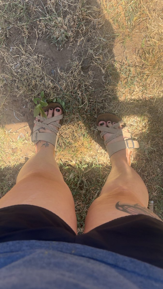 RottenRiotXx's tweet photo. My toes need sucked on 🤷🏻‍♀️ https://t.co/9mMuay122i