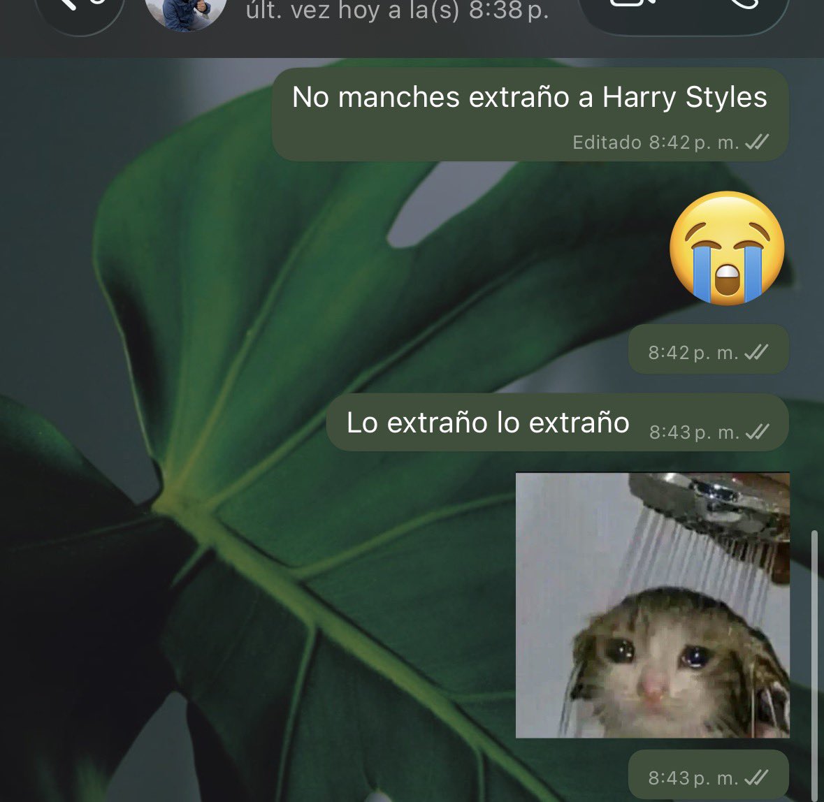 carmencastrx's tweet photo. Yo después de haber pasado tres días de mi vida con Harry Styles: https://t.co/BAOVh8q7q5