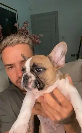 AlwaysLourry7's tweet photo. Day 15: Liam with a dog
#HonouringLiamPayne #AugustIsForLiam #Liam
#RememberingLiamPayne #RememberLiam https://t.co/qVzF1GF5Nh
