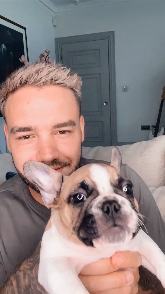 AlwaysLourry7's tweet photo. Day 15: Liam with a dog
#HonouringLiamPayne #AugustIsForLiam #Liam
#RememberingLiamPayne #RememberLiam https://t.co/qVzF1GF5Nh