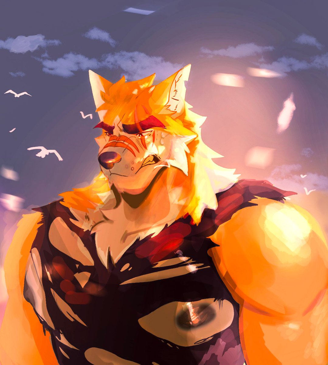 ManedGourd's tweet photo. couldn't let wolf day go by without giving some love to my favorite wolf! #rtfvn https://t.co/4lYU7tBtJZ