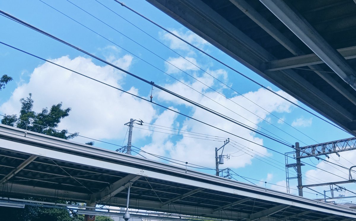 miya___18's tweet photo. https://t.co/bmBsAS5cBh
