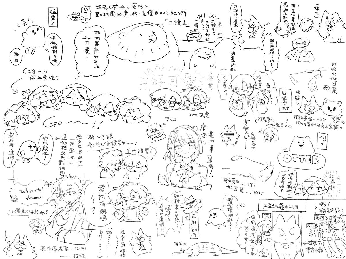 saya18247's tweet photo. 超傻眼13分鐘的影片我看了3個小時== https://t.co/B5HofufPXP