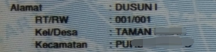 abiaraa_'s tweet photo. @kring_pajak Berarti jika mengikuti KTP, detail alamat hanya DUSUN I begitu ya kak? https://t.co/HlB9FQIlFV