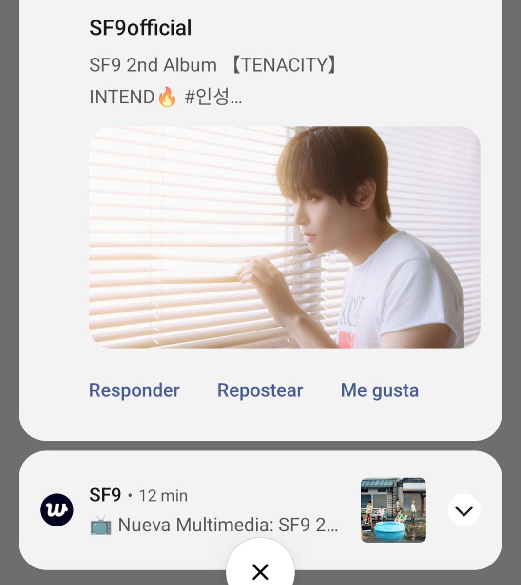 ForeverNueve's tweet photo. Ayer coleccioné notificaciones 🤭 https://t.co/mrdAdaJSu1