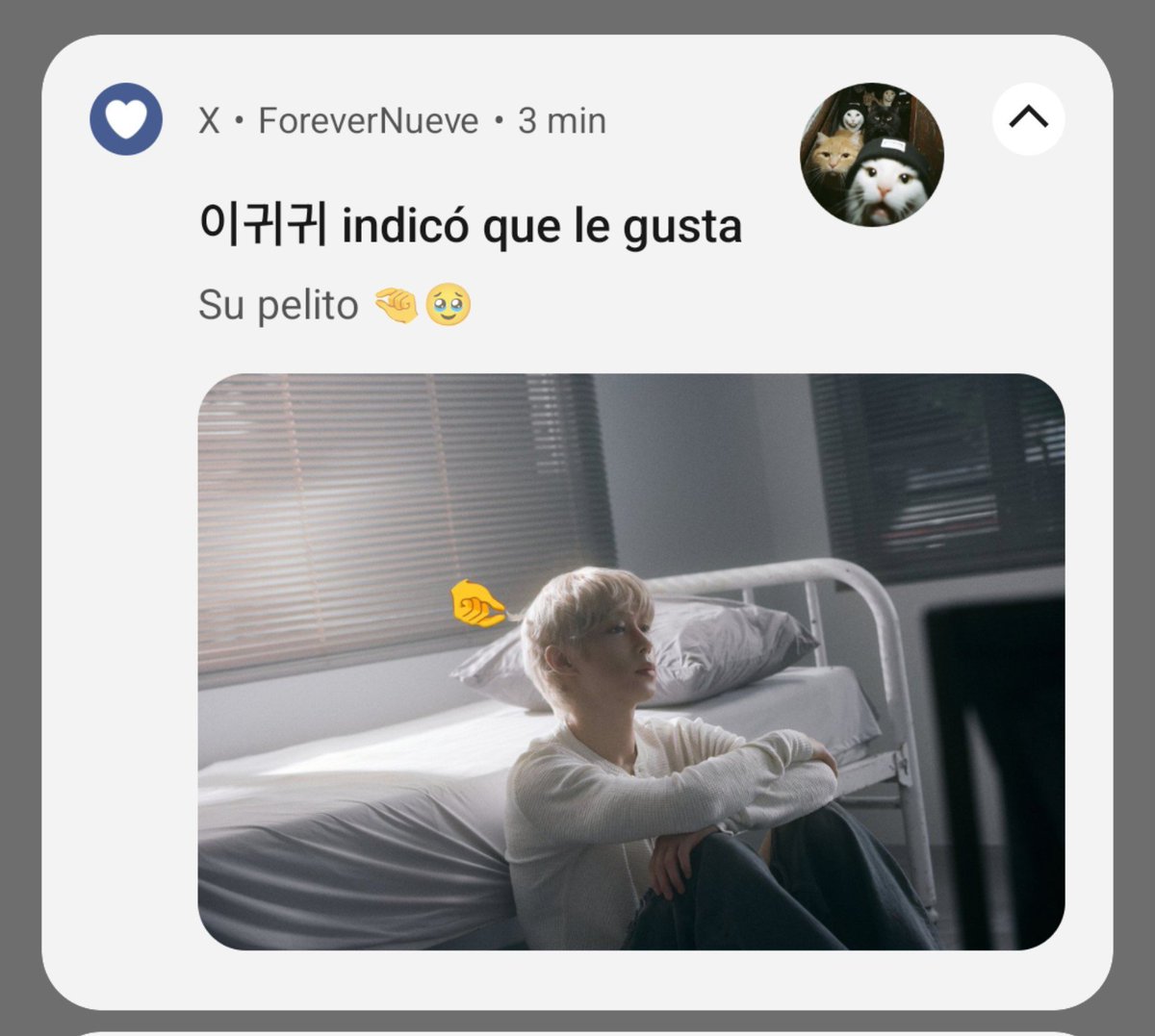 ForeverNueve's tweet photo. Ayer coleccioné notificaciones 🤭 https://t.co/mrdAdaJSu1