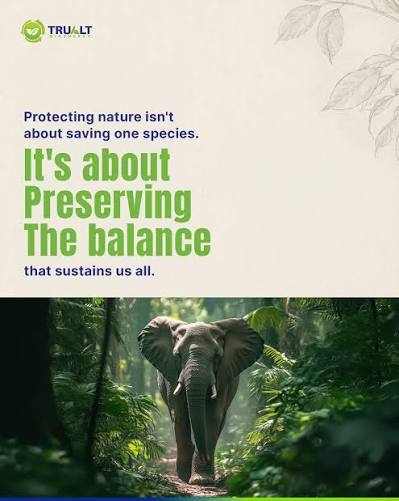 AnnaKavanaugh's tweet photo. #Conservation focuses on protecting individual species, but also our vital engineers. #Elephants don't just inhabit space. They build the infrastructure that stabilizes land, water, and entire #ecosystems. It all connects... and that is why it matters. #environment #wildlife 💚 https://t.co/vlHAgCq7a9