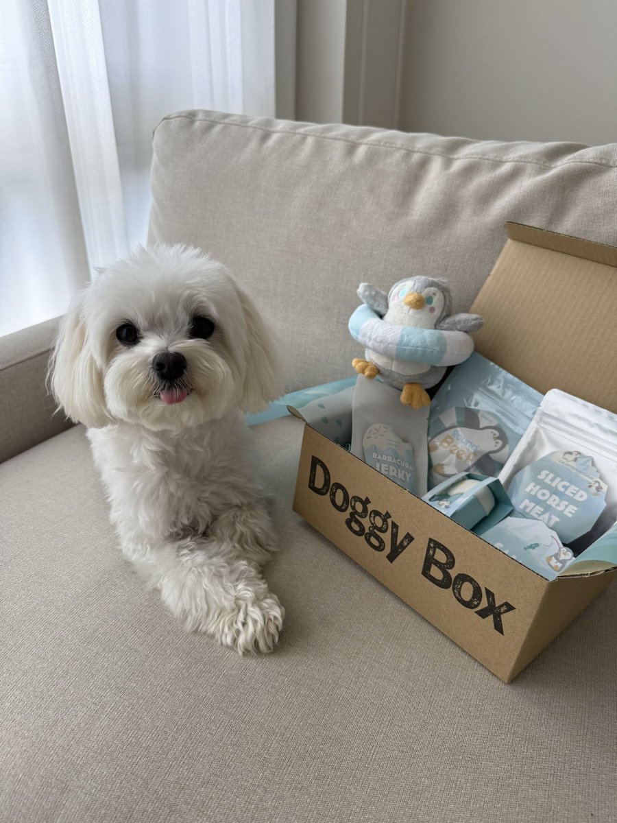 hokke_maltese's tweet photo. 8月のDoggy Boxが届いたよ🩵
ペンギンかわいい🐧🛟🧊

#doggybox #pr https://t.co/1LbCZEjzUc