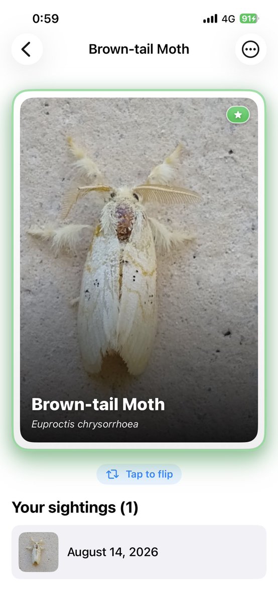 MLife70780's tweet photo. 🚨 SCIENTISTS JUST TRIPLED THE NUMBER OF INSECT SPECIES ON EARTH — UP TO 20 MILLION. Most have never even been photographed. Your backyard could be hiding a “legendary” that no one has logged yet. Snap it. AI names it. Turn it into a rare collectible card before it’s gone. Download Insect Collector: Bugs Hunter — the private treasure hunt for real bugs. 🪲🃏 #InsectApocalypse #20MillionSpecies
https://t.co/KY0VbCxdxe