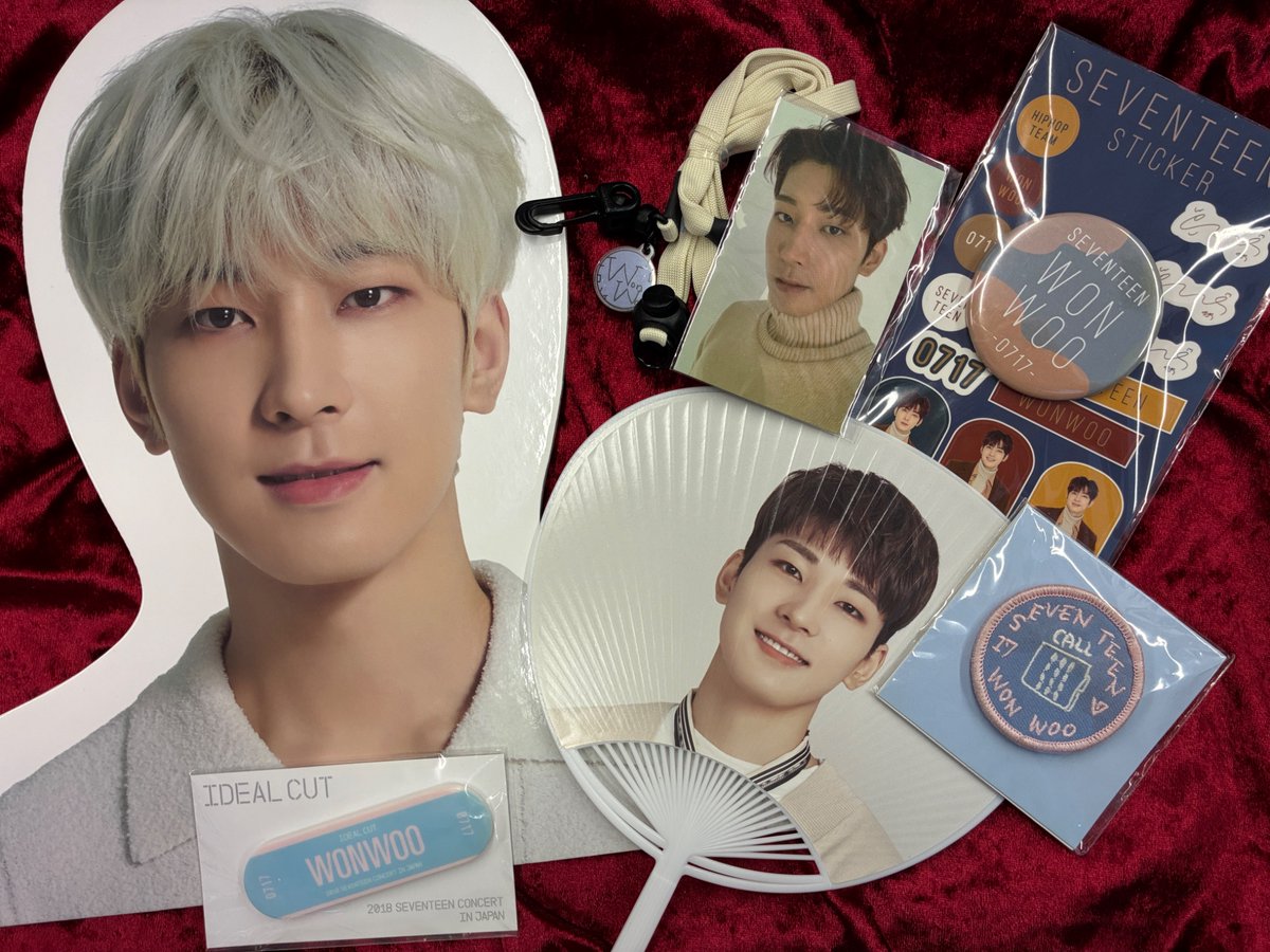 💎#SEVENTEEN #세븐틴💎 ウォヌのグッズ・トレカがまとめて入荷しま