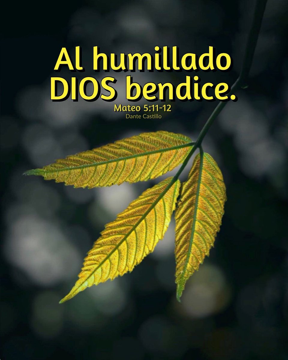 AromaDeJesus's tweet photo. https://t.co/apHud7o8LR