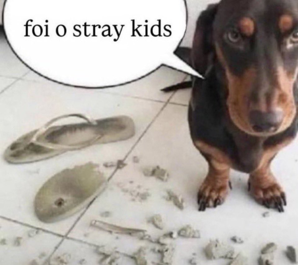 juuhzz0's tweet photo. que mania q vcs tem de colocar o skz no meio das frustrações do fandom de vcs https://t.co/G6QwU86mzX