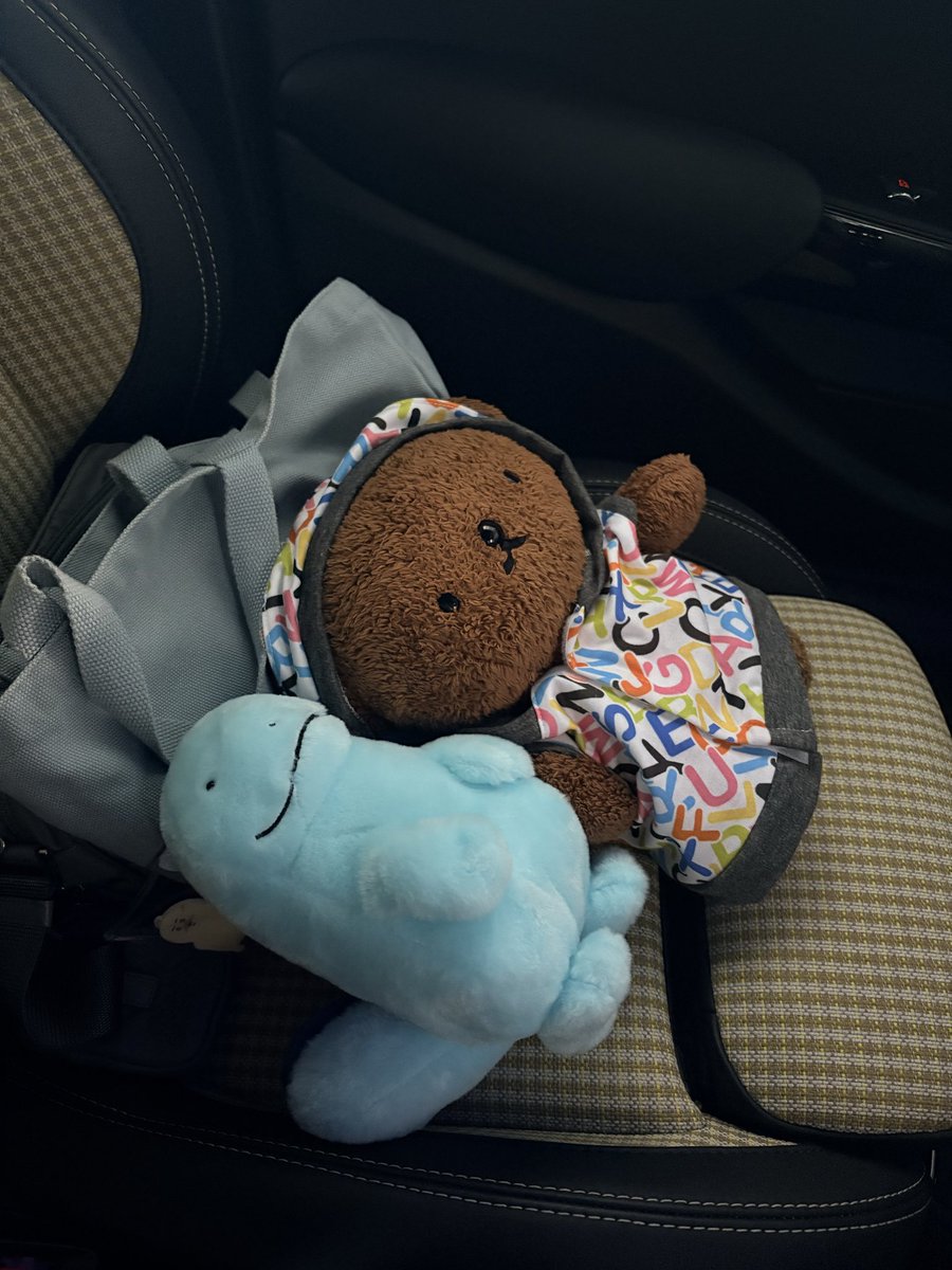 ついたよー🧸 ついたってʕ•ᴥ•ʔ
