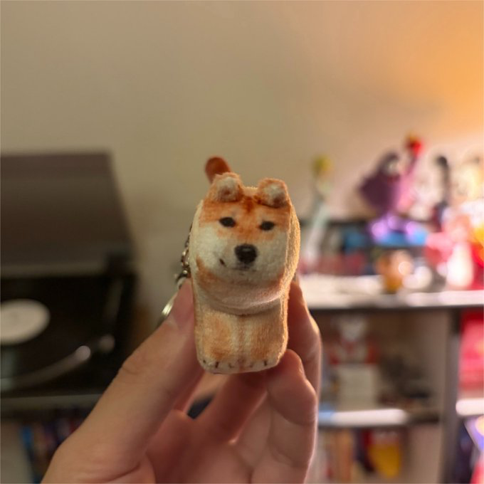 softthumbnailjp's tweet photo. みんなハムスターばっかり....
僕もかわいいよ？🐶 https://t.co/7hWtvfo8fu
