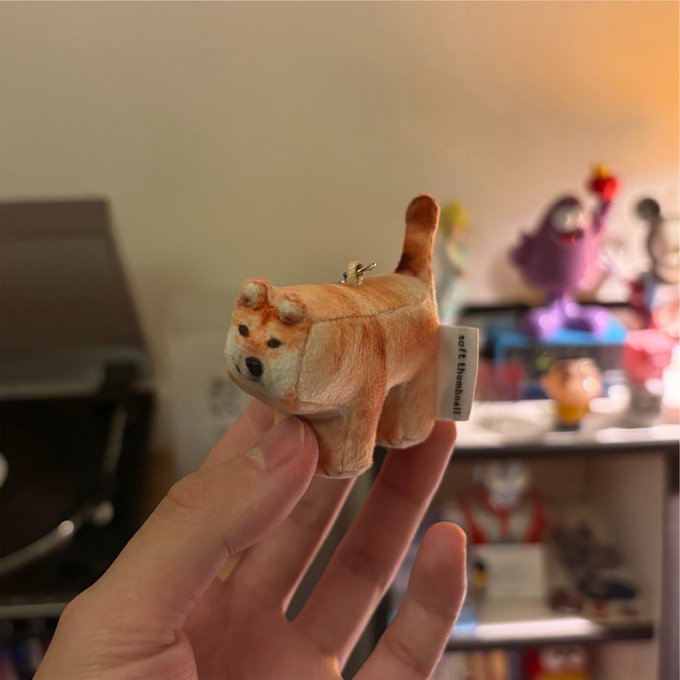 softthumbnailjp's tweet photo. みんなハムスターばっかり....
僕もかわいいよ？🐶 https://t.co/7hWtvfo8fu