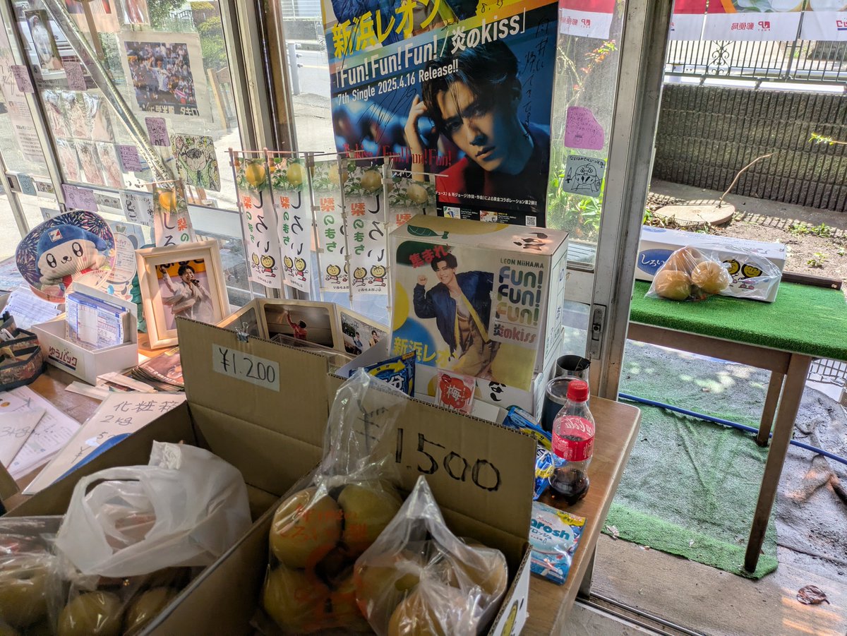 LEON_BayStars's tweet photo. 毎年恒例のレオンママ実家の ＃秋本梨園 さんへ🚘️
昨夜の大雨で冠水したらしく床を掃除していました
冷やして美味し��いただきます

しろいの梨ならまちがいナシ‼️

＃新浜レオン
＃白井市
＃秋本梨園 https://t.co/0fOQQyV018