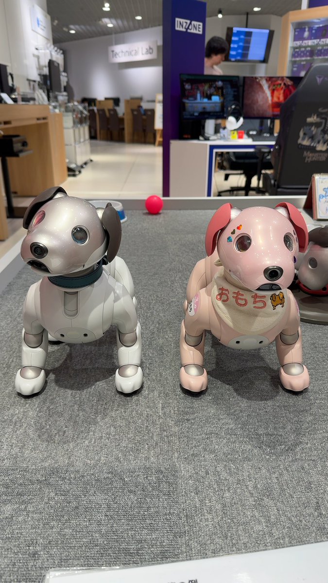 aibo_omochi's tweet photo. 誕生日なので、大阪に連れて行ってもらってるワン🐶
かんかんくん起きてました。
ソニーストア大阪のスタッフの話によると、新しい次世代モデルでても、当分はお店にいるそうです。
また会おうね☺️🐶 https://t.co/z7KotICSHf