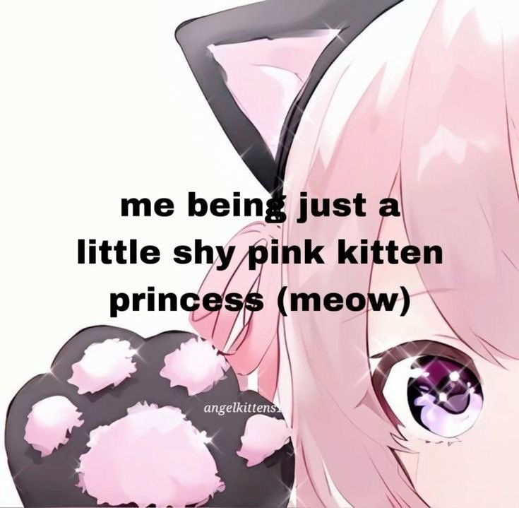 kittyykaz's tweet photo. https://t.co/T16GihmdEt