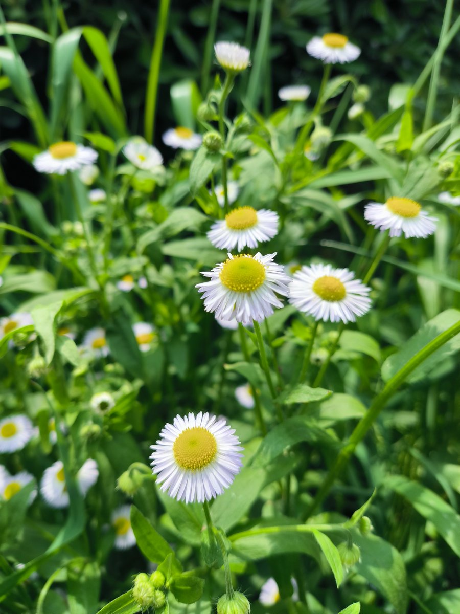 tyangki97gmail1's tweet photo. New to photography Start with one rule: Shoot what makes you feel something. No fancy gear needed—just curiosity and a eye for small, warm moments.  #PhotoTipsForBeginners https://t.co/8IMHtFmcMd