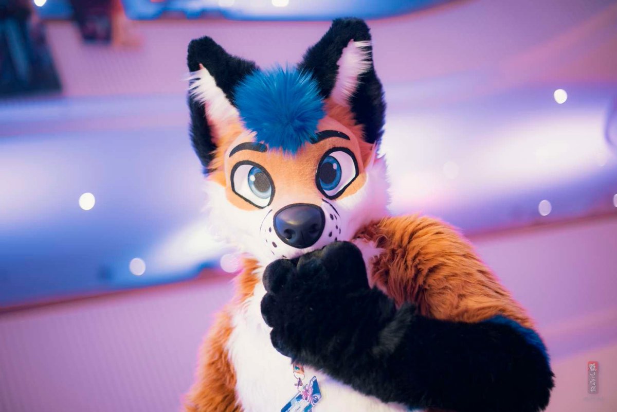 Ponyfoxx's tweet photo. Will I hug YOU at @Eurofurence #ef30 this year? 🦊💕

#FursuitFriday #Furry

📷 @martinisnowfox
🧵 @AlphaDogsStudio https://t.co/fdDC5N8uxN