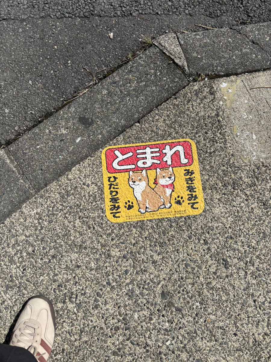 ken_07046's tweet photo. 熱海にしゃもげさんいた😍 https://t.co/prvTPyFL4Z