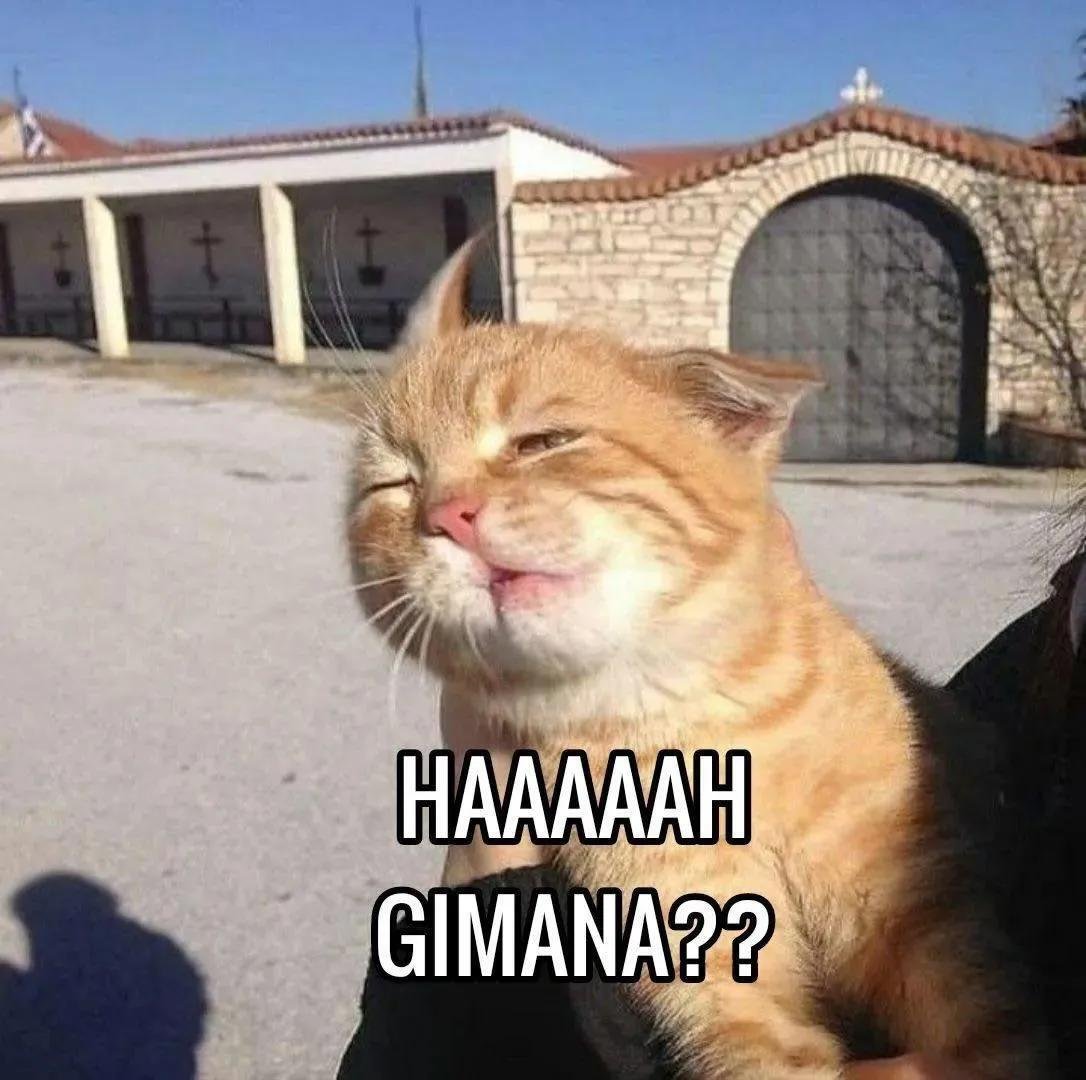 kucinggembul05's tweet photo. @txtdrimedia https://t.co/4LTlbAWkOH