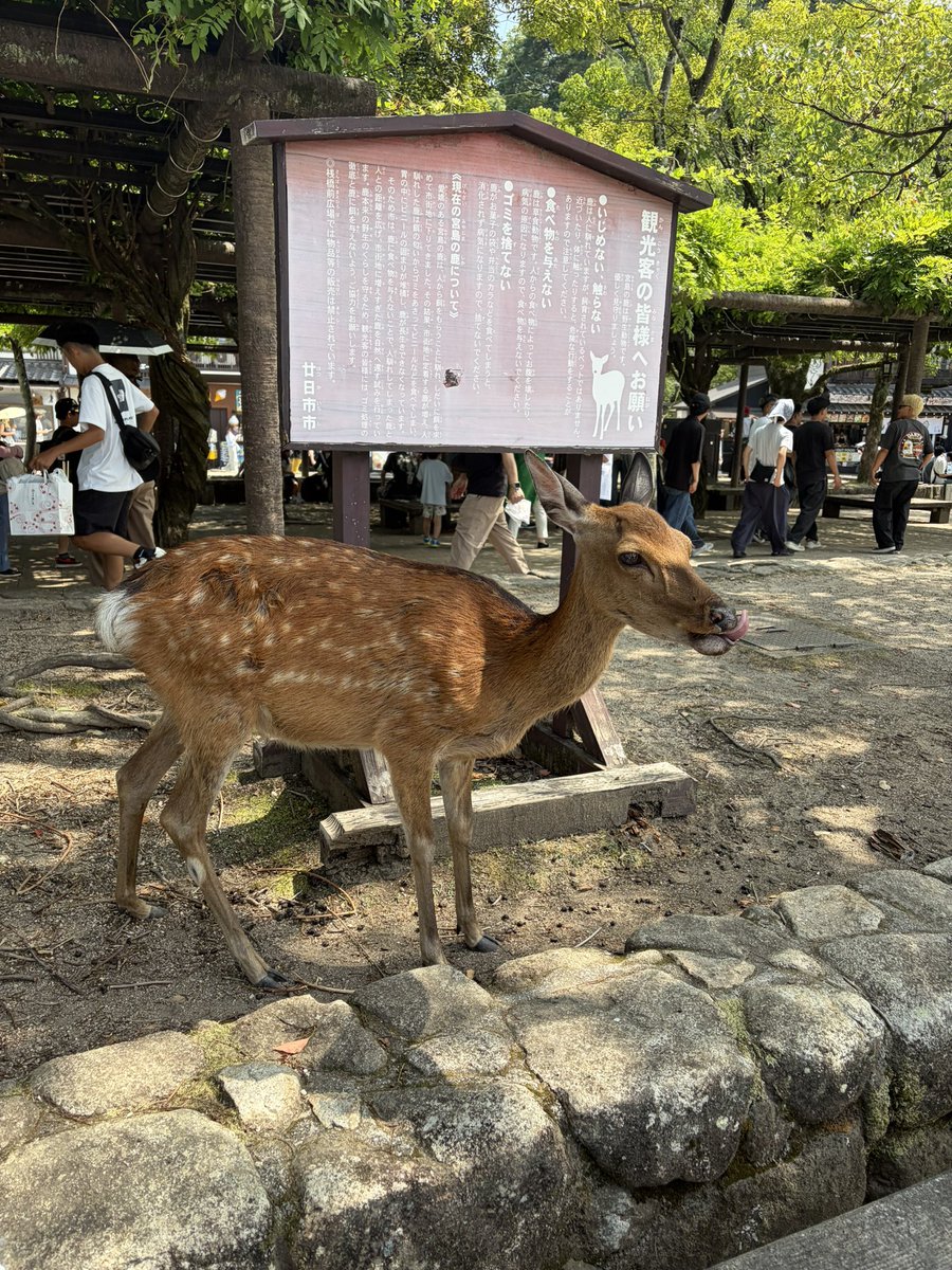 fjk_pr's tweet photo. enjoy〜！ https://t.co/oqmU4zzeIJ