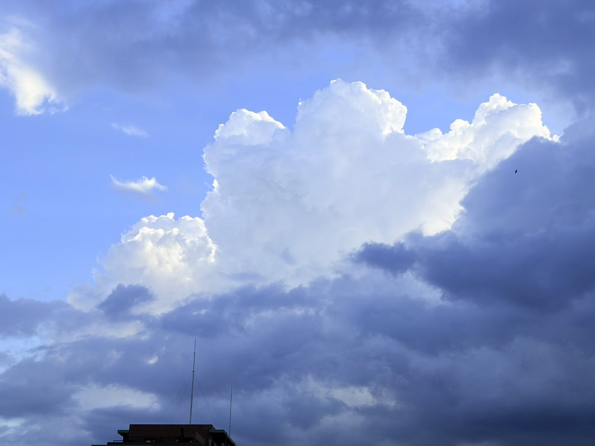 mkitcha246's tweet photo. 遠くでゴロゴロ⚡️始まった
毎日不安定ですね
 #イマソラ https://t.co/jAm5GVlPPE