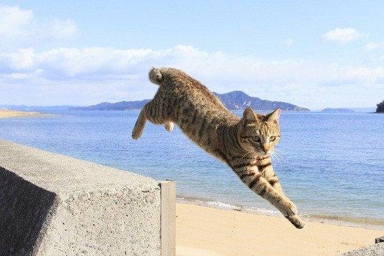 jbjIovebots's tweet photo. Growth isn’t about being perfect—it’s about getting up one more time than you fall. （成长不是追求完美，而是跌倒后多站起来一次。） https://t.co/i2EzrW4YoE