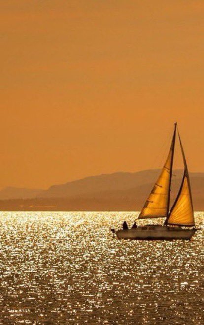 _Naturaee's tweet photo. Sea glitters https://t.co/kD1Xx910nQ