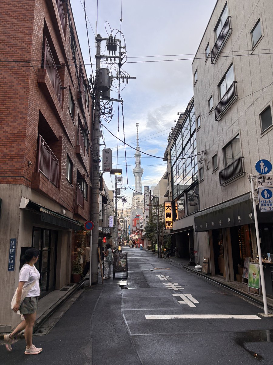 RE69_SAKA's tweet photo. なんかスカイツリー見えるし、五重塔みたいなやつある https://t.co/bn1FXL3qZS