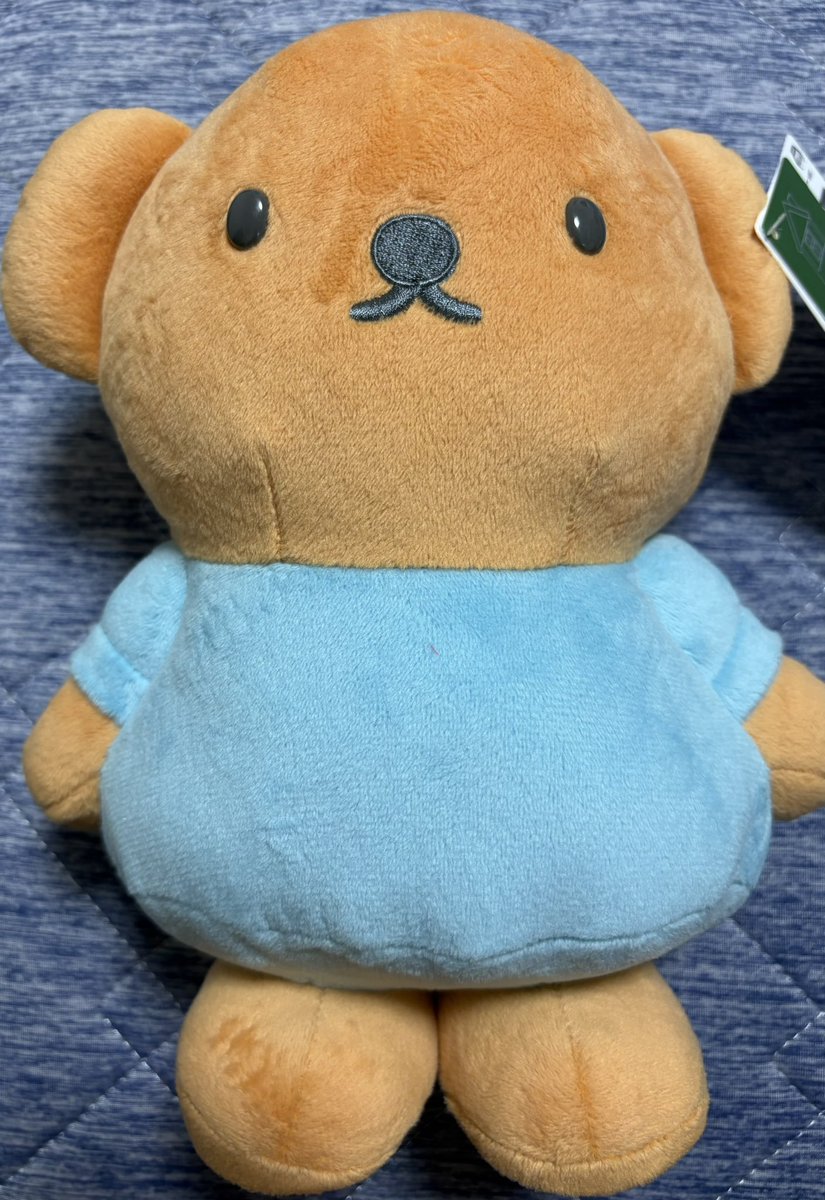 Kame0611's tweet photo. ゲーセンで島二郎ぬい狙ったけれど全然ダメで心折れて帰ってきた🥹
けれどボリスお迎え出来たから良かった☺️✨ https://t.co/eacSn6fq0X
