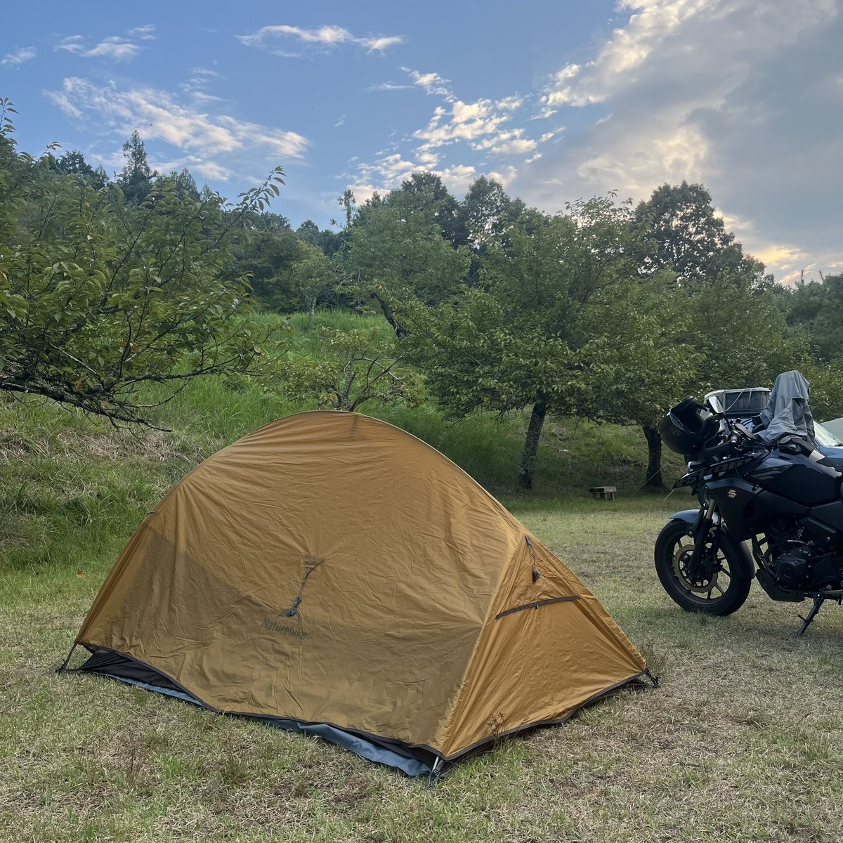 antagonizes's tweet photo. ここをキャンプ⛺地とする！

なのですが、
なんとペグを忘れるという大失態
自立型とはいえ収まりが悪い

買い出しついでに百均行ってきます https://t.co/k43CdPXDqZ
