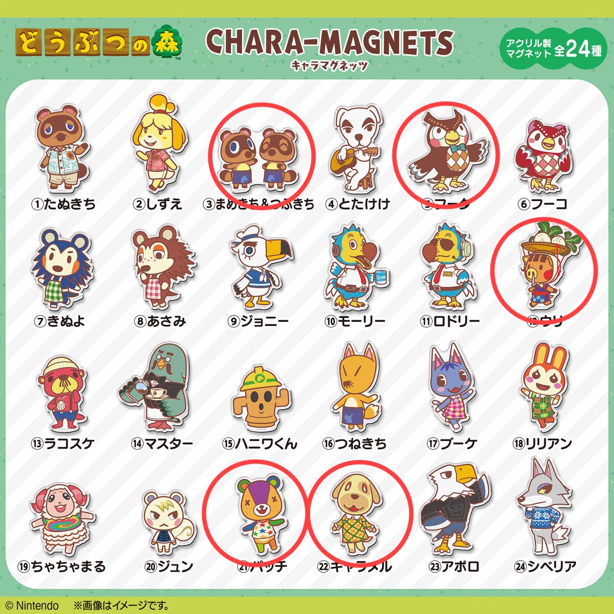 3mi_ko5's tweet photo. 【 交換 】どうぶつの森 キャラマグ��ッツ マグネット 

譲 : しずえ　リリアン　シベリア　あさみ
求 : まめきち&amp;つぶきち　フータ　ウリ　
　　パッチ　キャラメル

郵送での交換のみ📮
纏めての方優先させていただきます。
検索からお気軽にお声掛け下さい🌟 https://t.co/2bEWX5GIeH