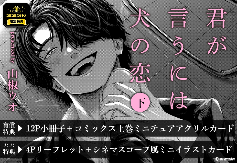 BL漫画 特典付きまとめ アニメイト コミコミスタジオ 小冊子