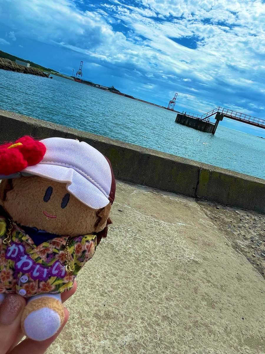ame_tt's tweet photo. みぐとぅ　うみかじ https://t.co/BSccEQunFQ