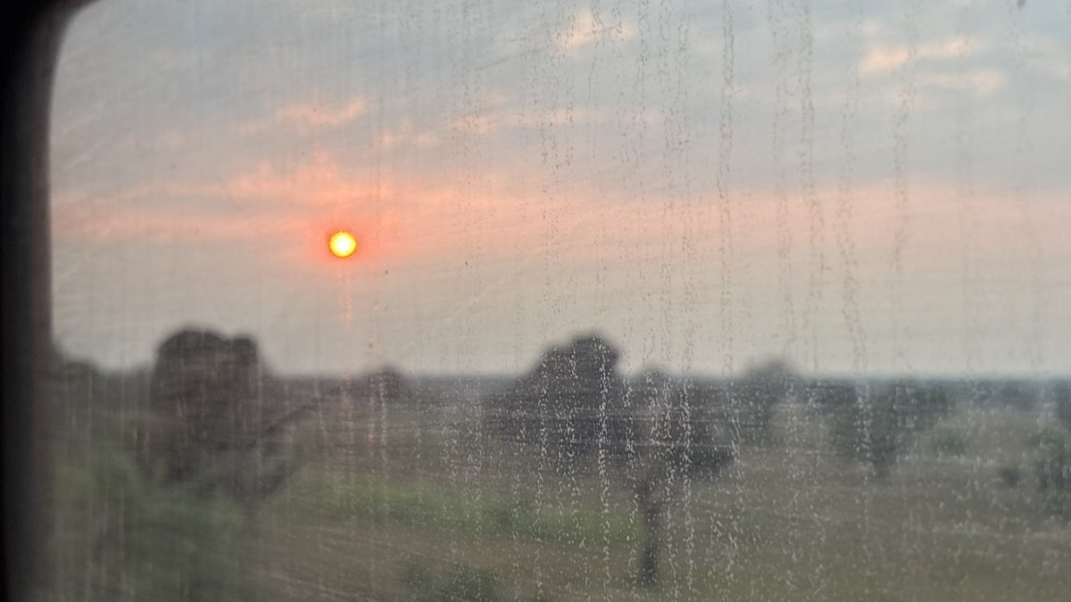 tabinokakei's tweet photo. 現在タンザン鉄道にてダラサラームに向けて北上中

この鉄道に乗るために、
イリンガから逆走してマカンバコまで戻り、駅に3回行ってようやくチケットの支払いが出来、

更に乗るまでに予定より16時間遅れで待たされたりと大変だった

電車の中から動物とさ大自然が見られると救われる

今の所見えるのは、、、

売り子のおばさま達だけど、、、

昨日鉄道で食べたチキンミールは
360円と結構高めだけど、味はスパイス入ってて中々に美味